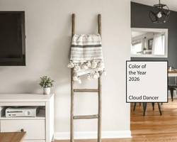 Pantone Farbe des Jahres 2026: Cloud Dancer